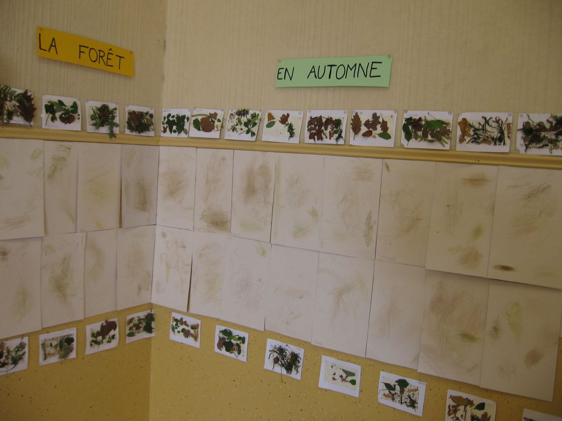 PS-MS-Foret Vouille (39).JPG