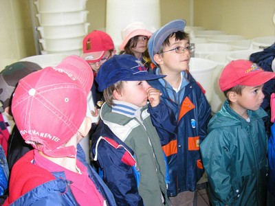 P1010020.JPG