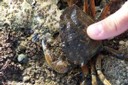 100_2528.JPG
