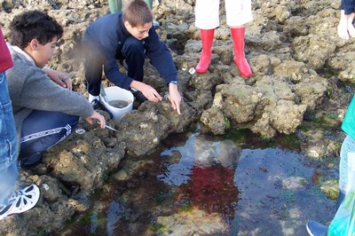 100_2542.JPG