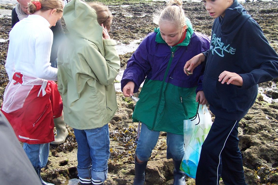 100_2545.JPG