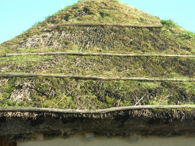 DSCN1039.JPG