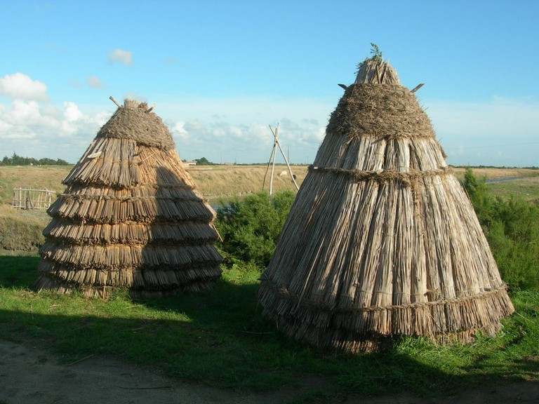 DSCN1042.JPG